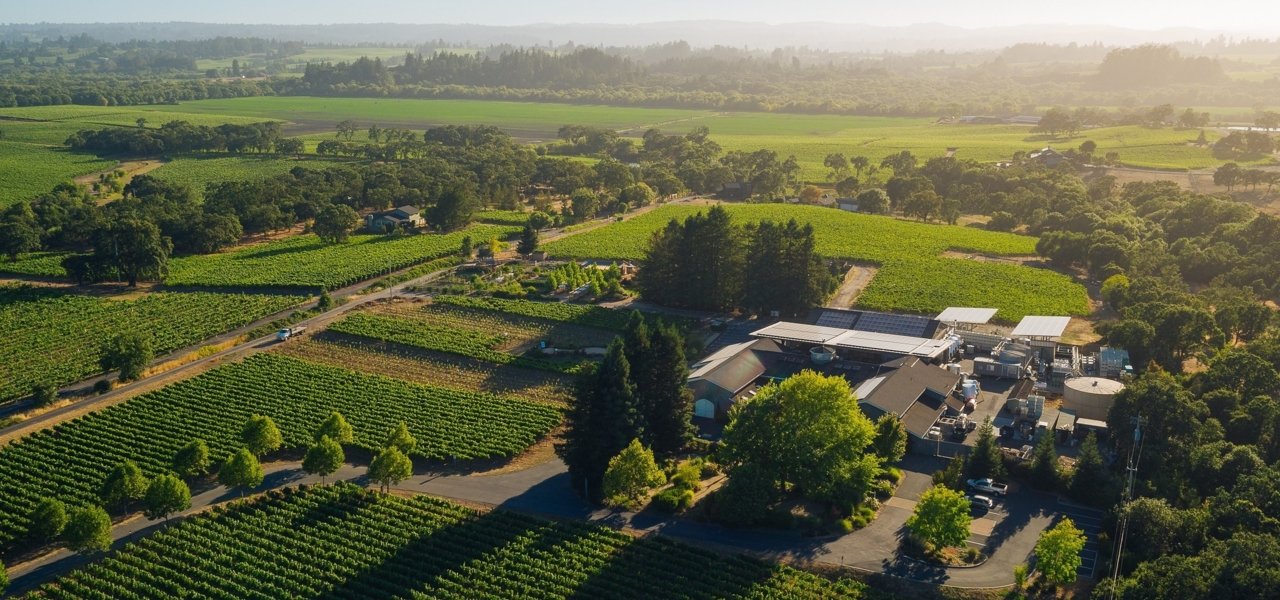 DeLoach Vineyards in the heart of the Russian River Valley